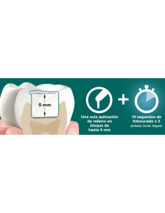 Filtek™One Bulk Fill 2