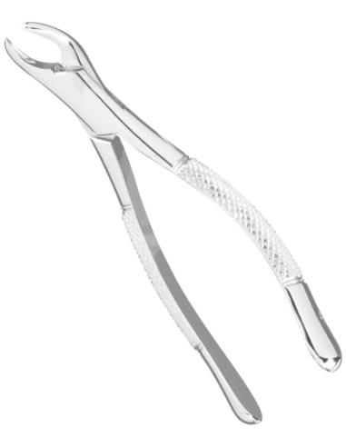 Forceps 151