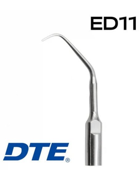 Punta ED11 DTE