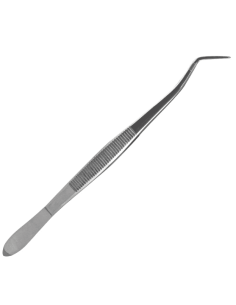 pinza algodonera básico